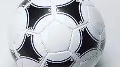 lewan乐玩体育 资讯 113652 41q