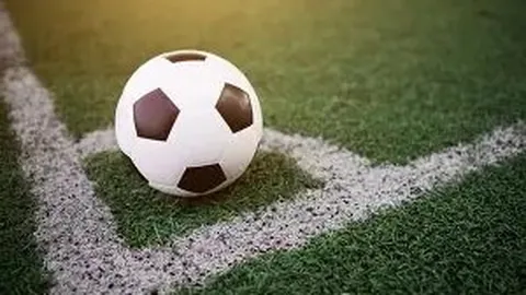 硒的生物强化：营养与污染风险的双重影响